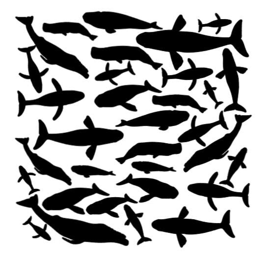 Vinyl Stickers- Sharks, Turtles, Dolphins, Whales, Jellyfish, Octopus, MantaRay, Mermaids